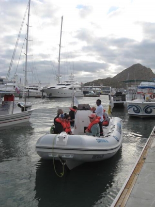  Excursions d'observation des baleines 